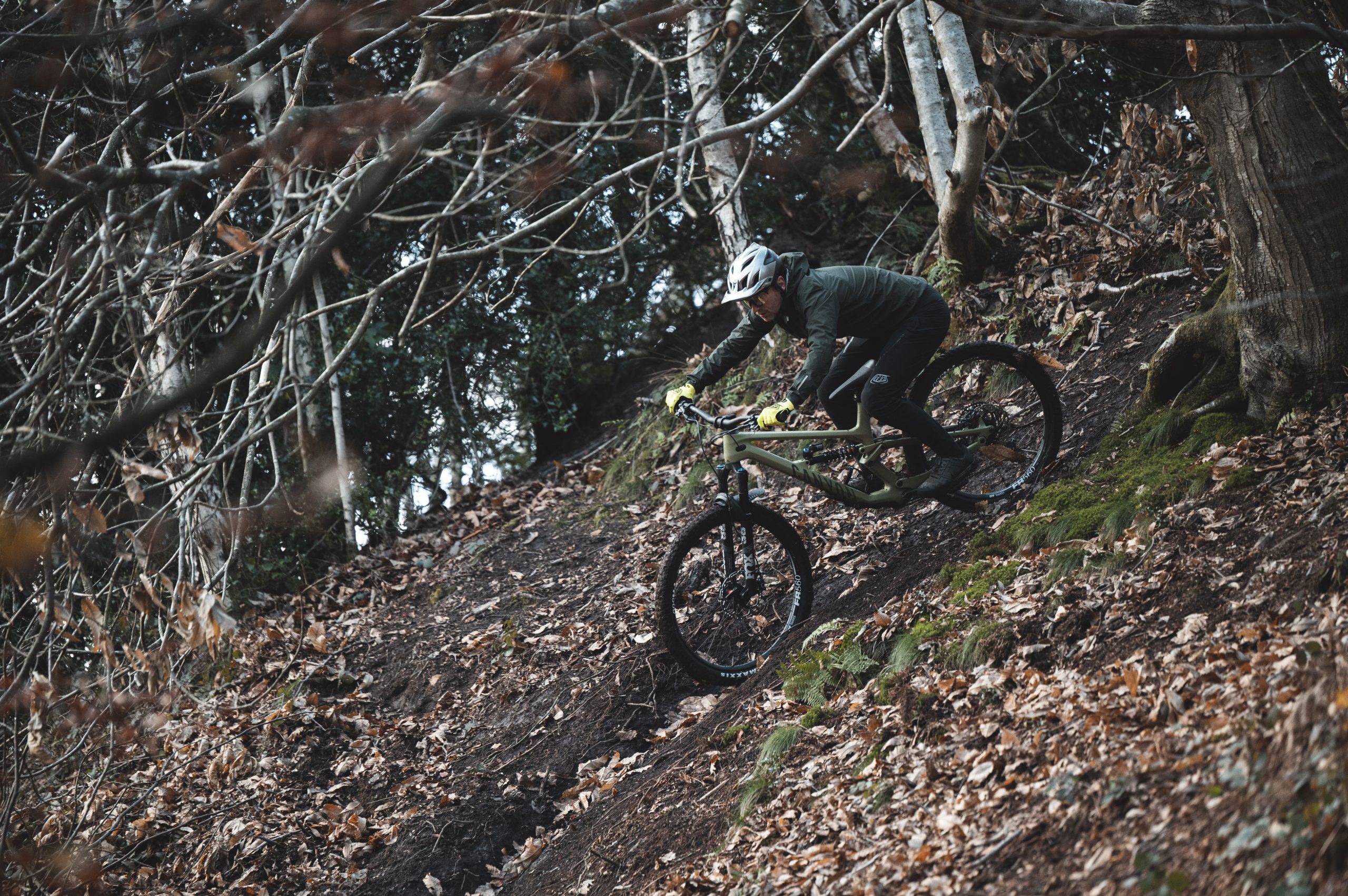 Canyon Torque CF8
