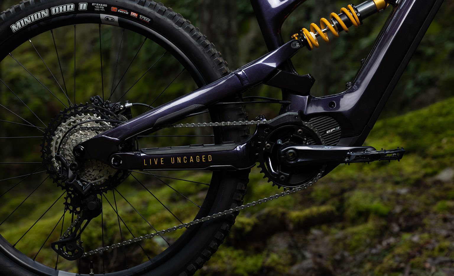 YT's Capra and Decoy get special edition Uncaged 9 models with Ohlins