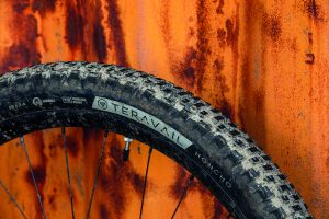 Teravail Honcho tyre