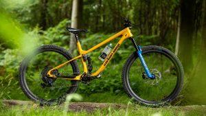 Photo of the yellow Carbon Wasp Truffle mountain bike