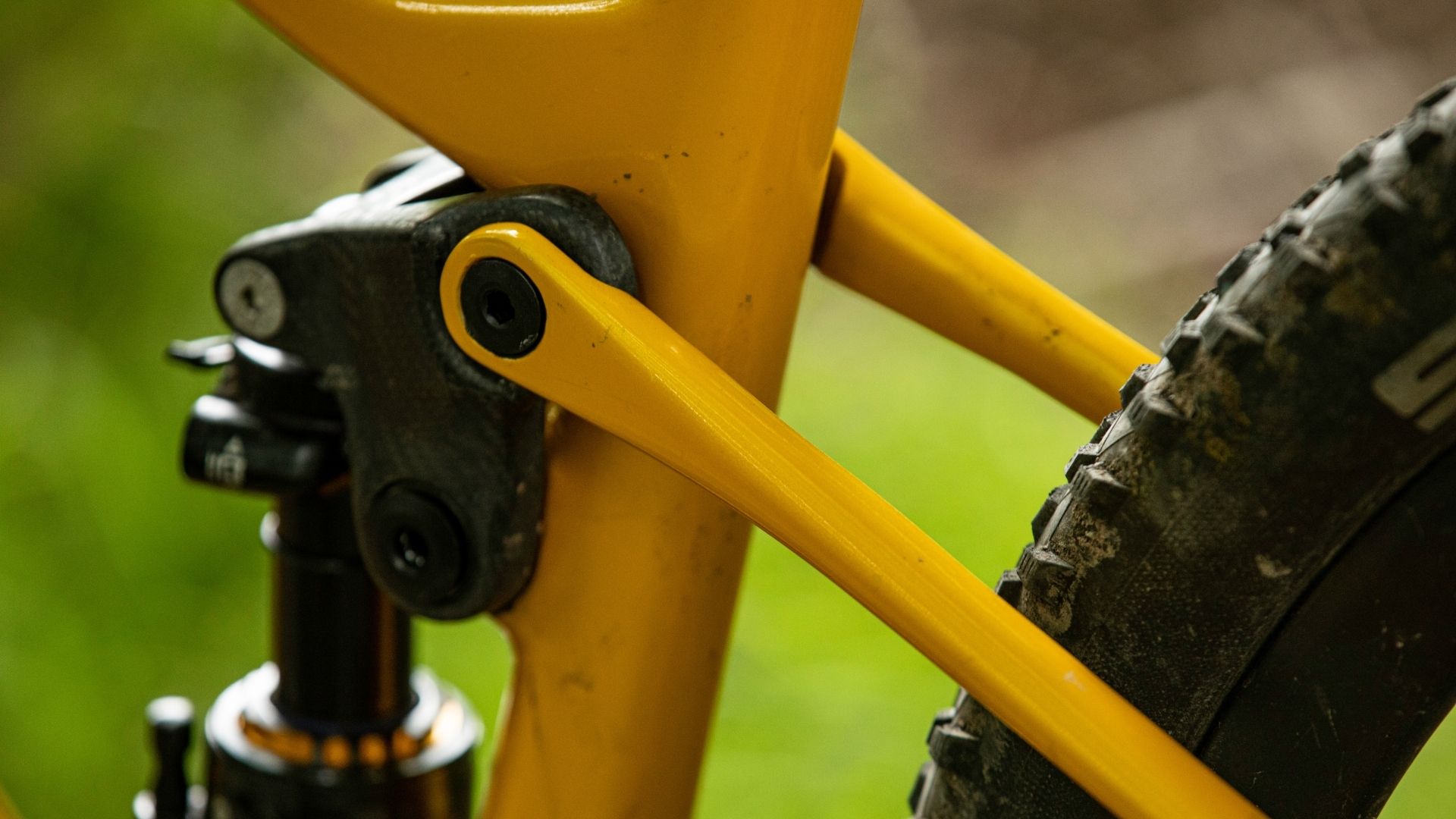 Detail photo of chainstay on yellow Carbon Wasp Truffle mountain bike