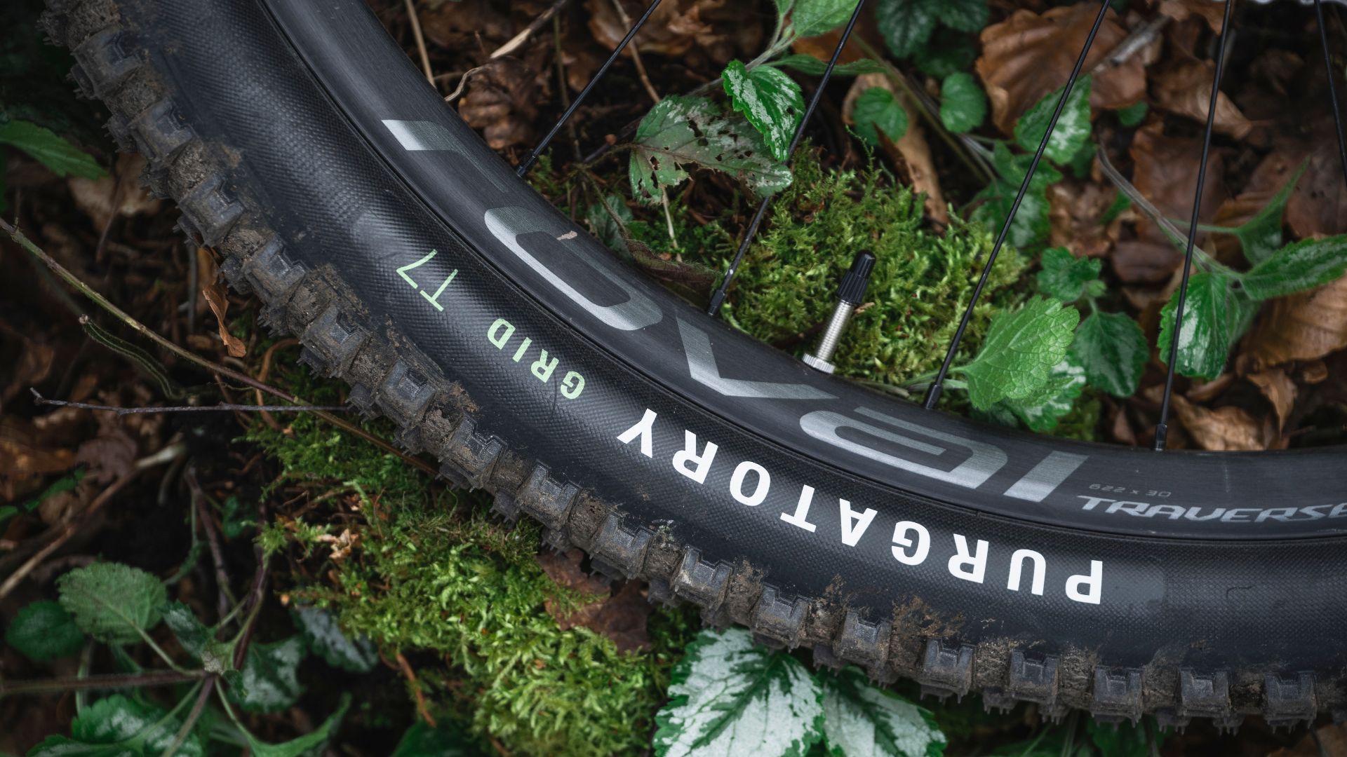 Detail photo of wheels and tyres on Specialized Stumpjumper mountain bike
