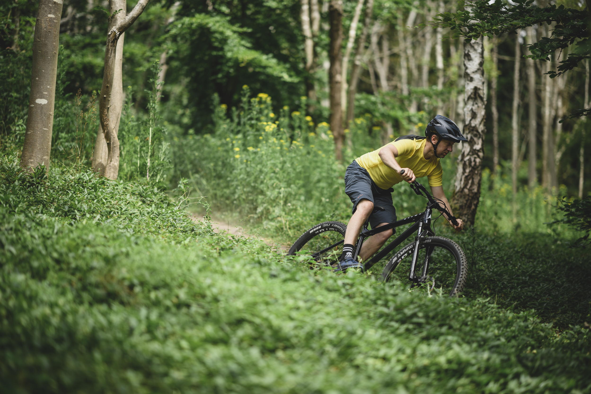 Vitus Sentier
