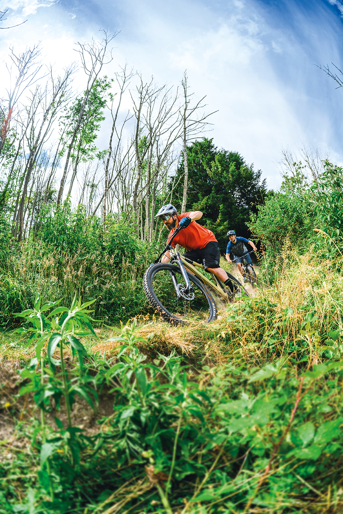 Image of two mountain biker ride through green forest
