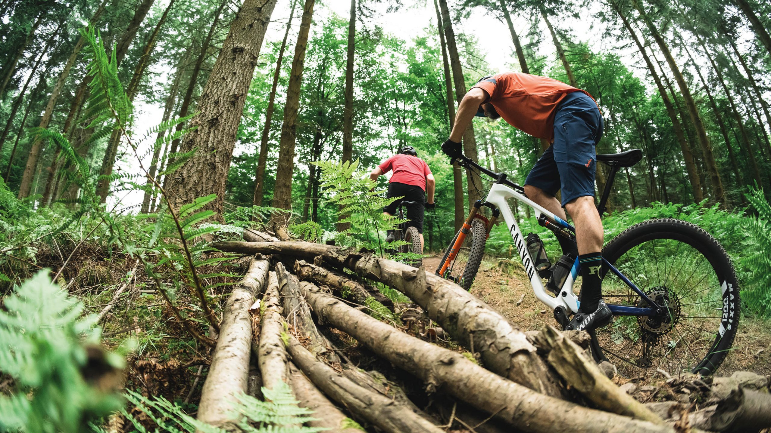Two mountain bikers riding away from the camera into a forest