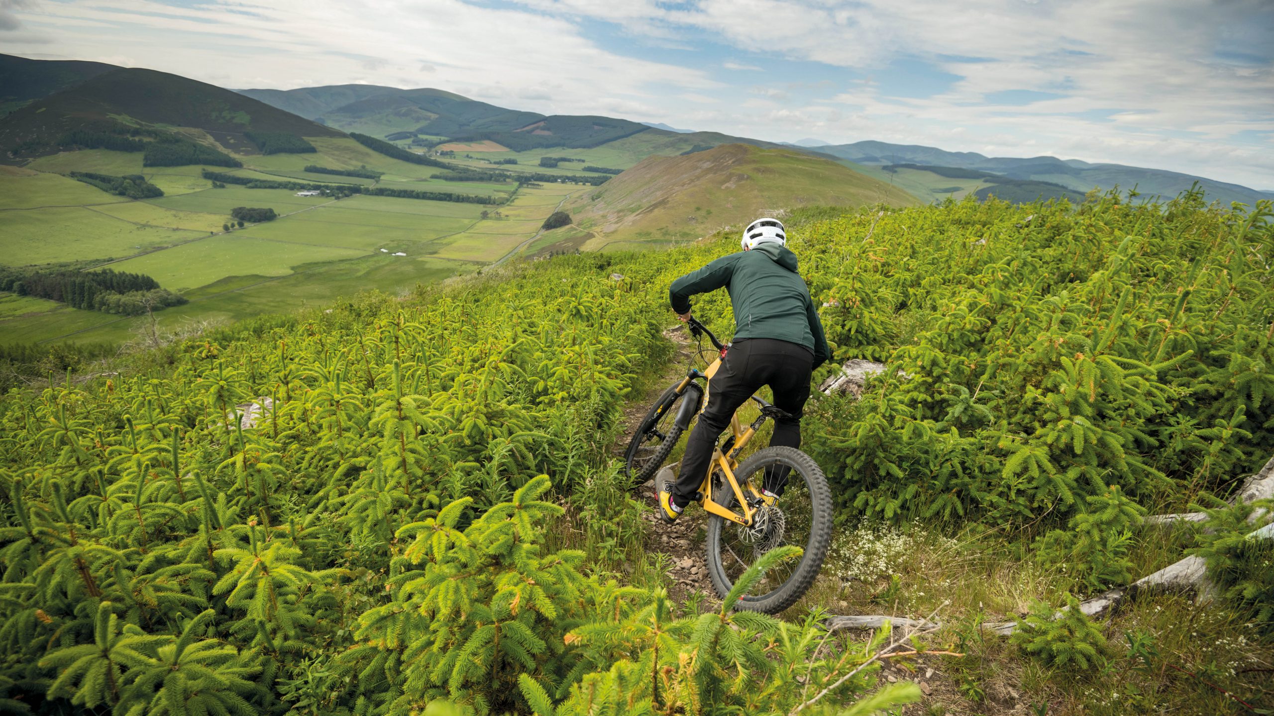 Mountain biker riding down natural trails