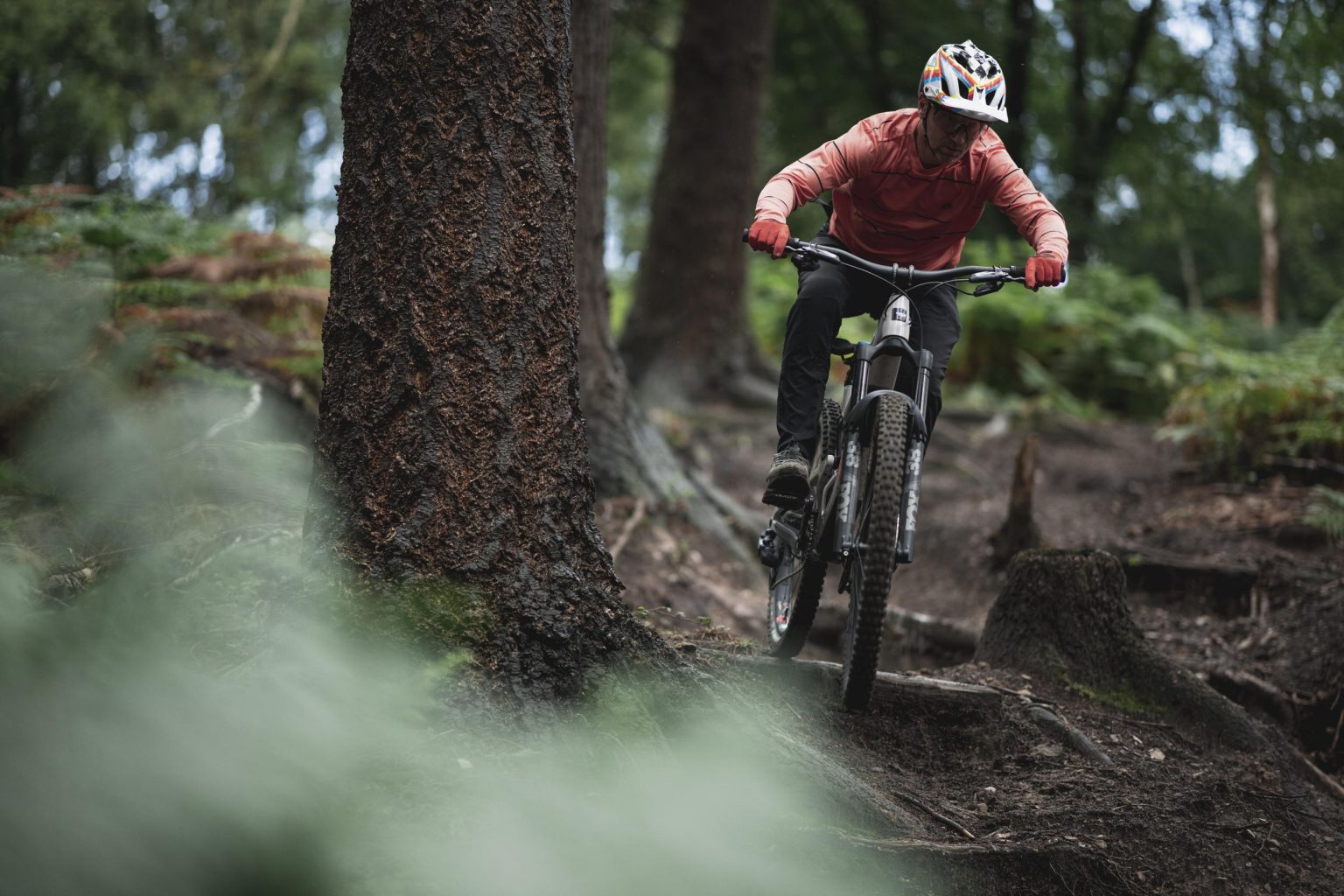 santa cruz nomad for sale canada