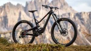 Intense Tracer 29 Pro enduro mountain bike with mountains in background