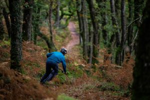 Exmoor Adventures Porlock