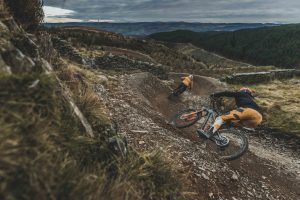 Dyfi Bike Park