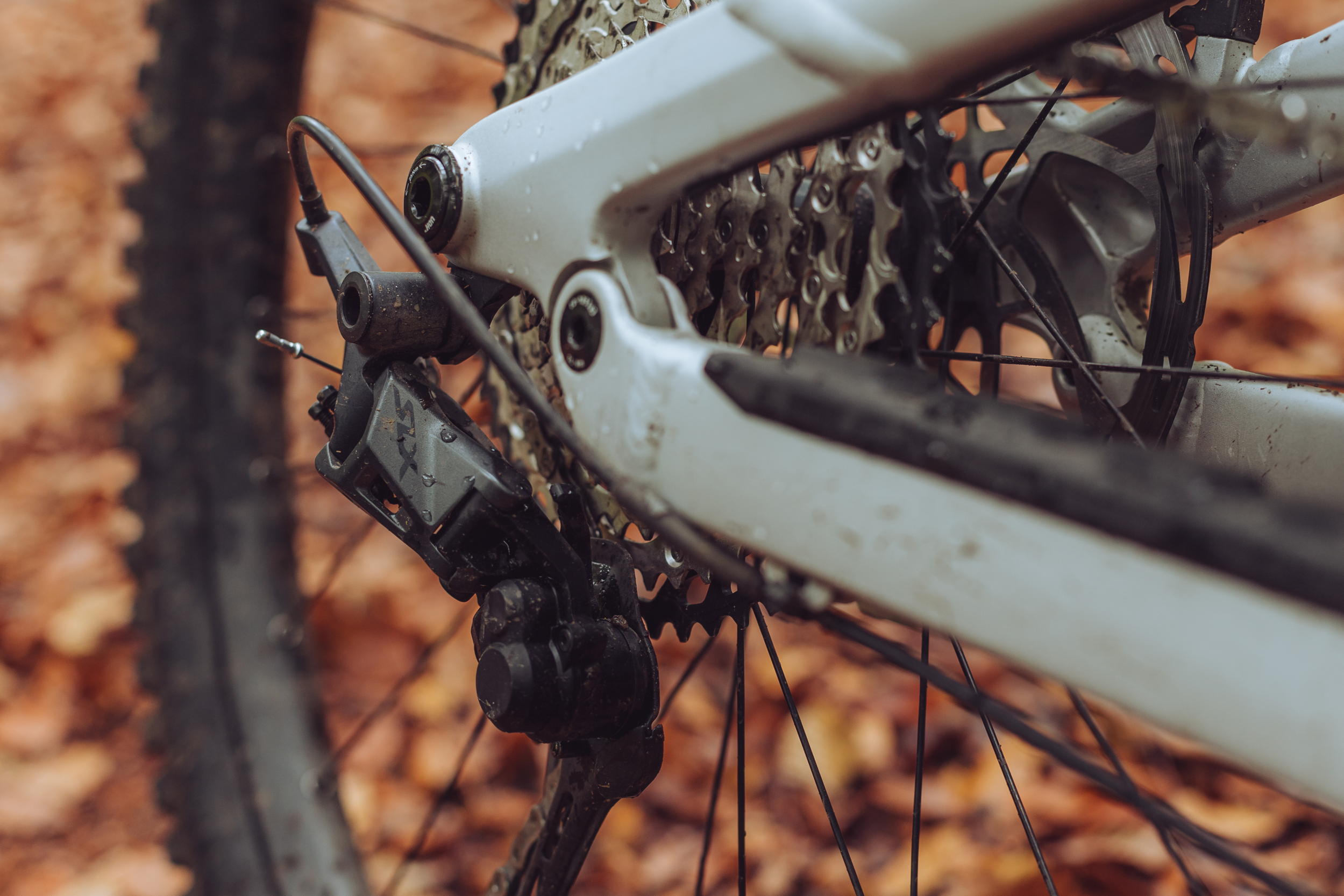 Canyon Torque 29 AL 6 first ride review - MBR