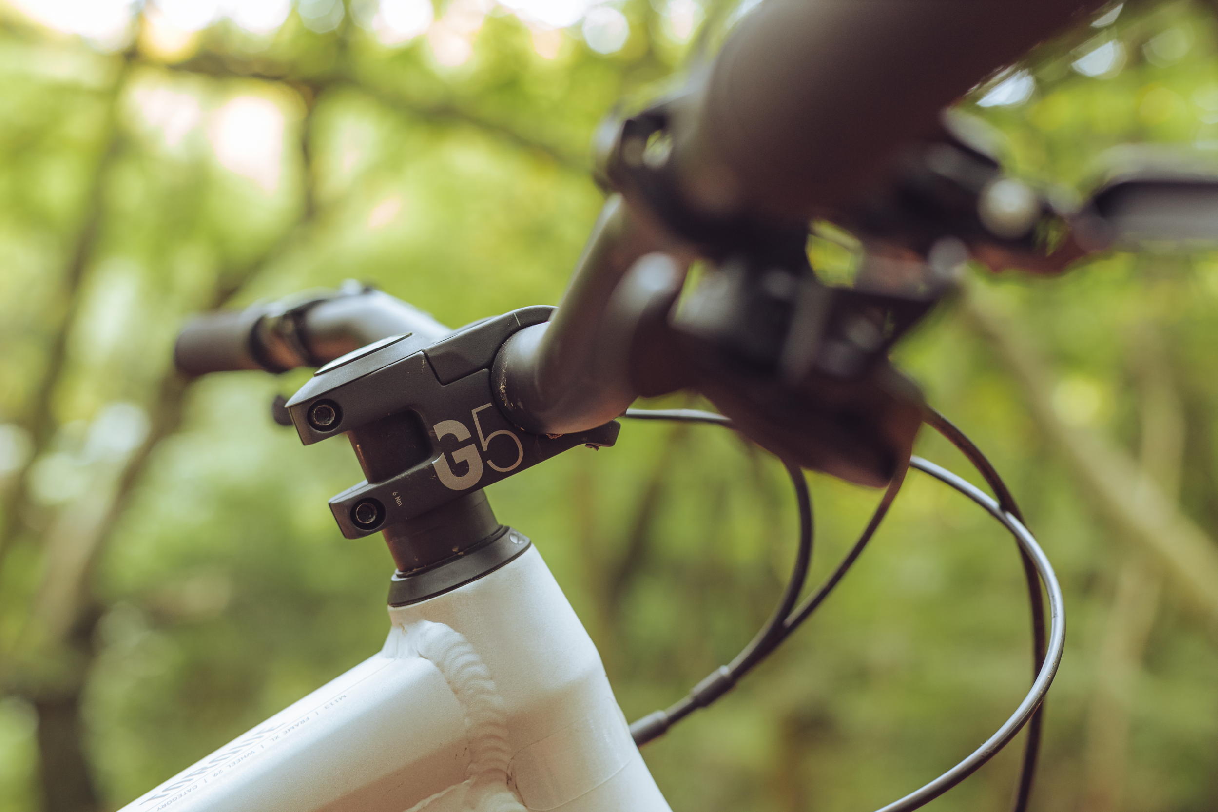 Canyon Torque 29 AL 6 first ride review - MBR