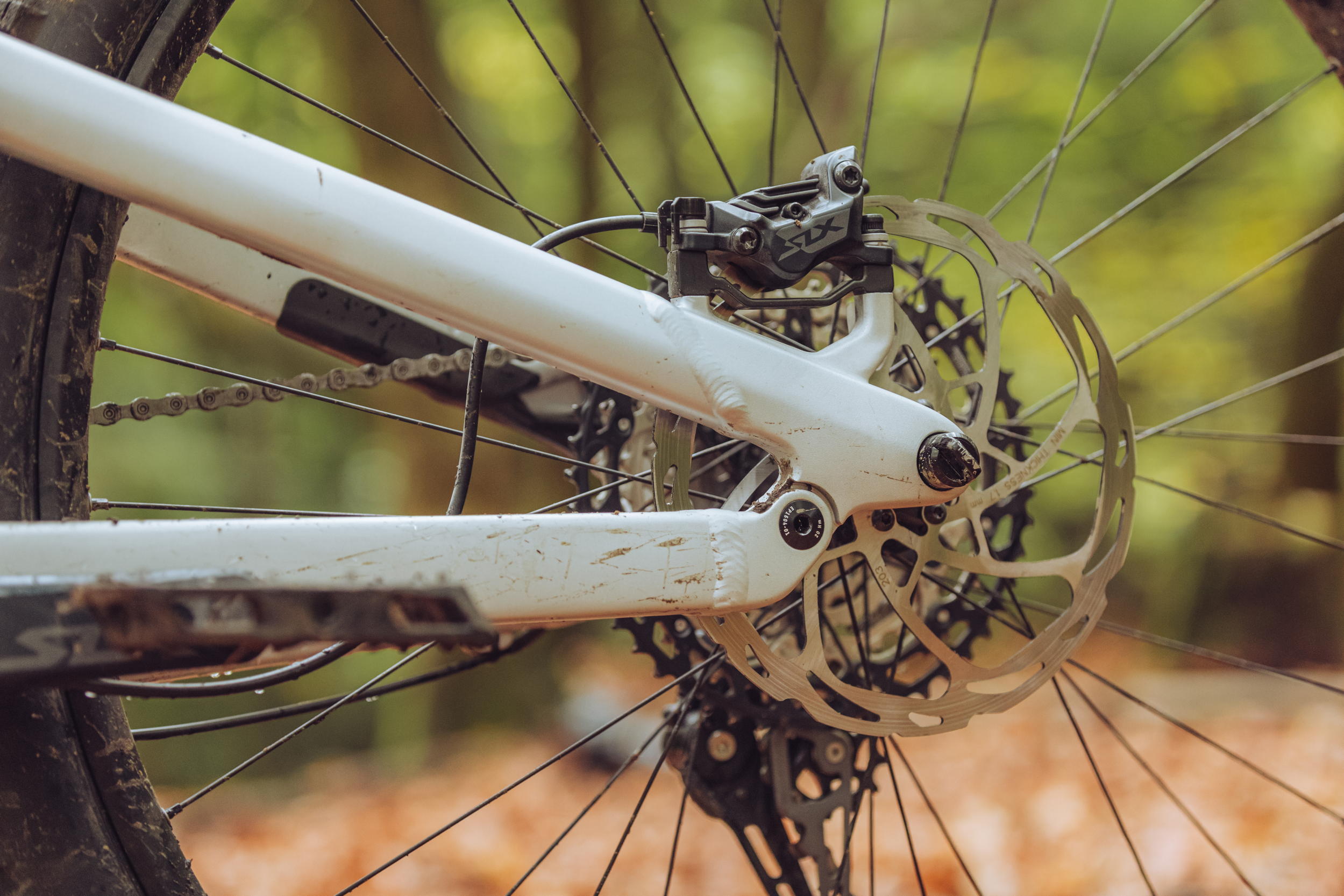 Canyon Torque 29 Al 6