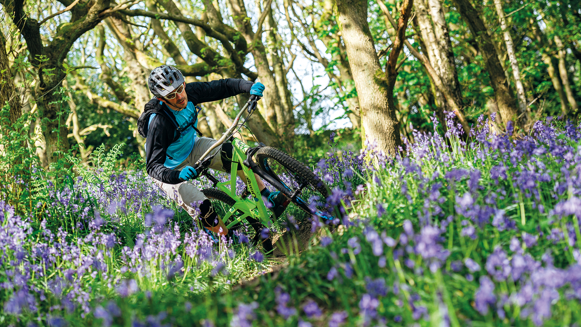 Why We Ride feature - mountain biking through bluebells