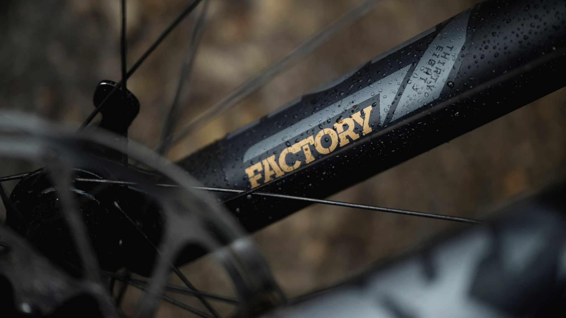 YT Decoy Core MX 4