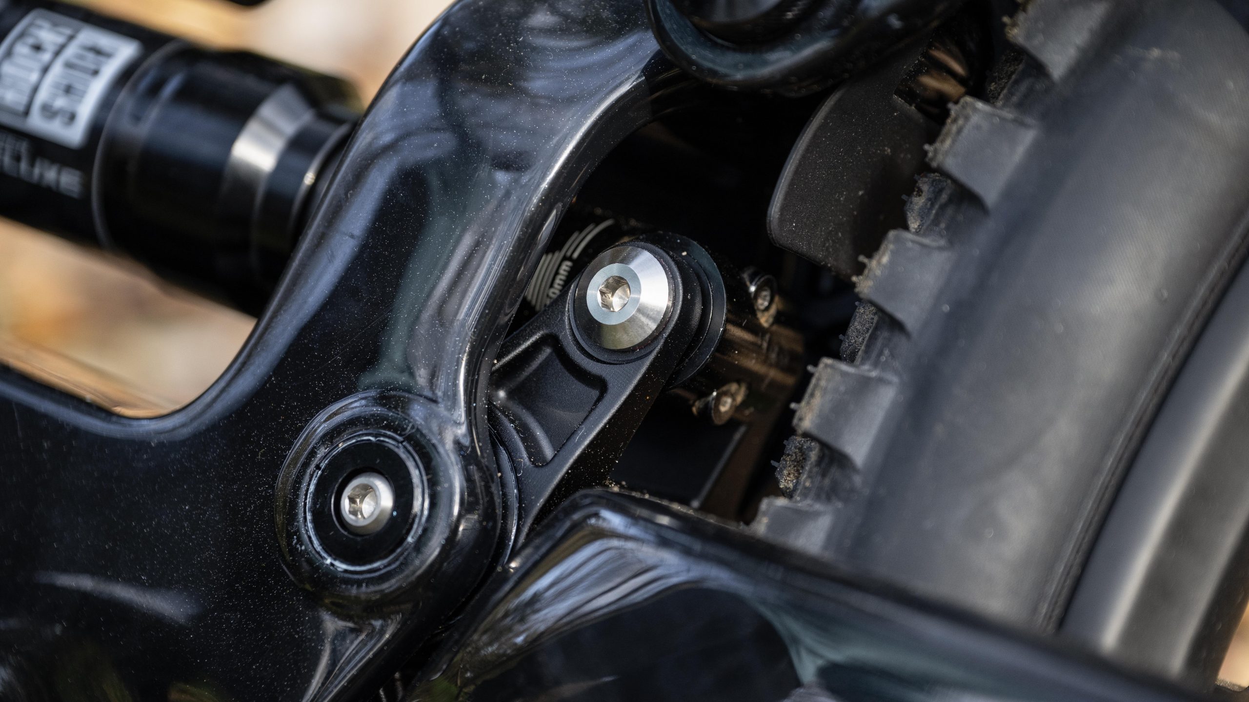 Forbidden Druid V2 X0