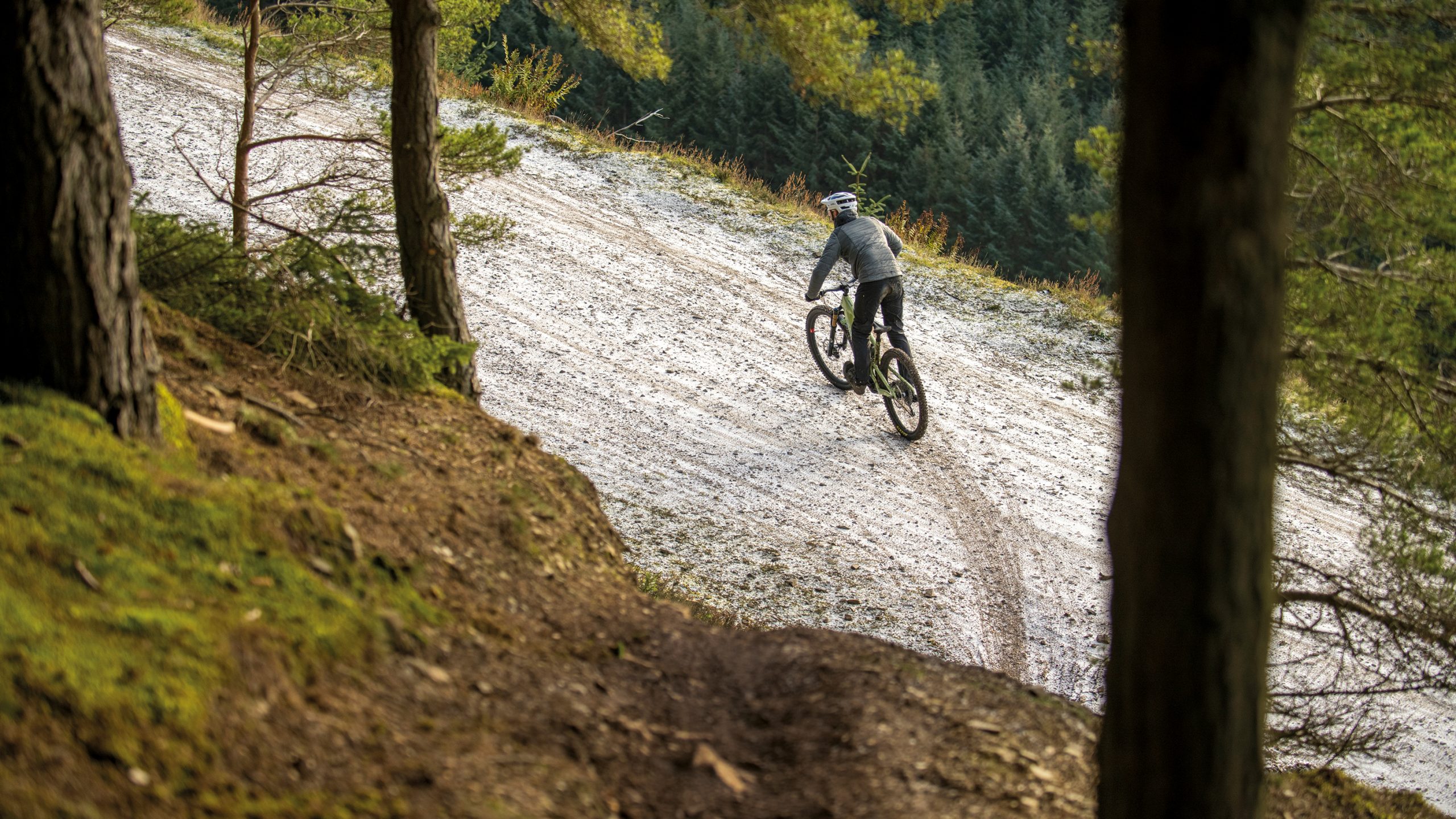 electric mountain bike skills