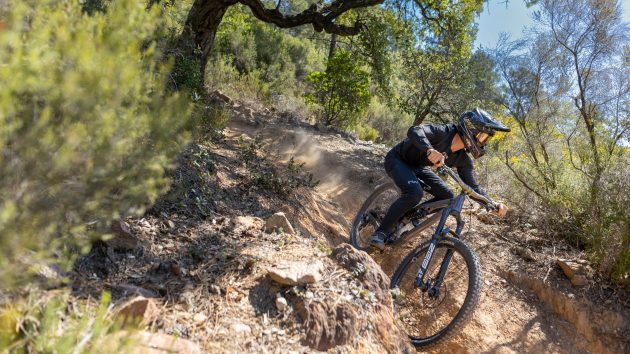 Northwave Advertorial