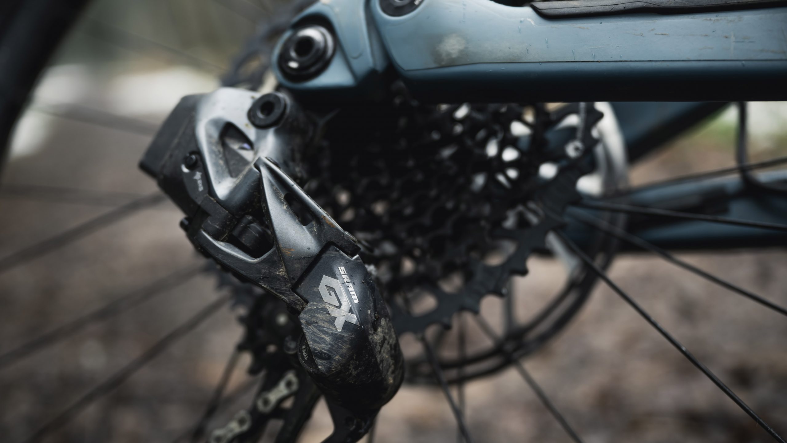 Cassette and gear on the Canyon Spectral:ON CF 9 electric mountain bike