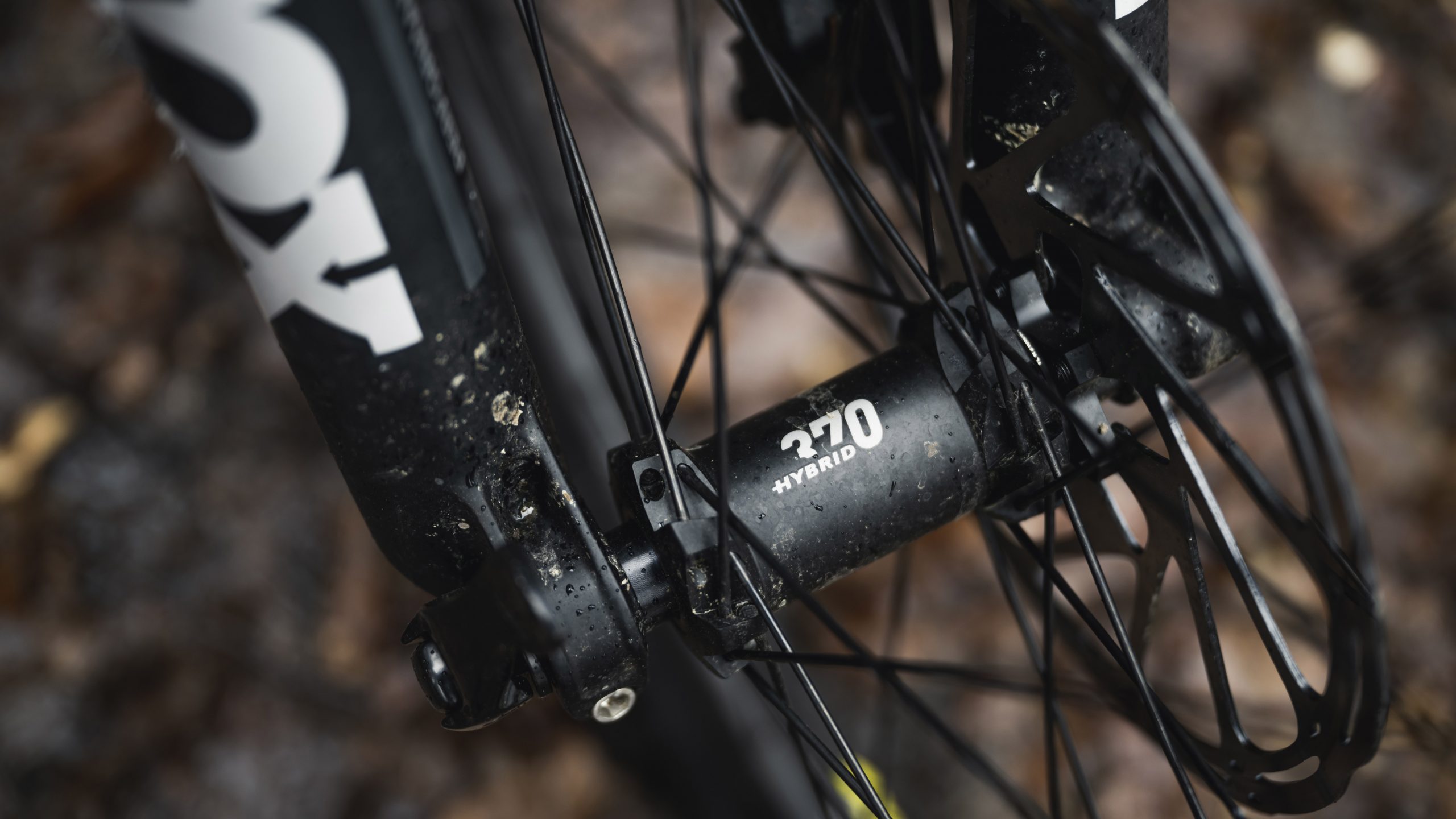 Rear hub on the Canyon Spectral:ON CF 9 electric mountain bike