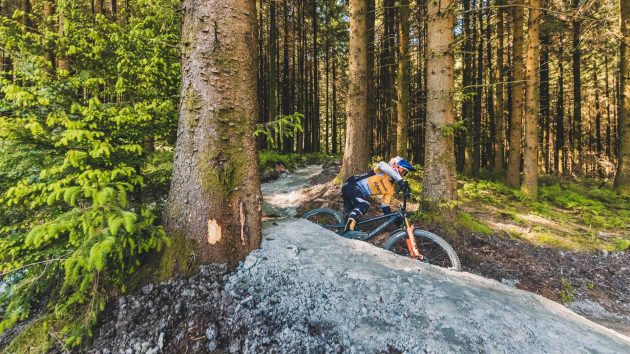 dyfi bike park location