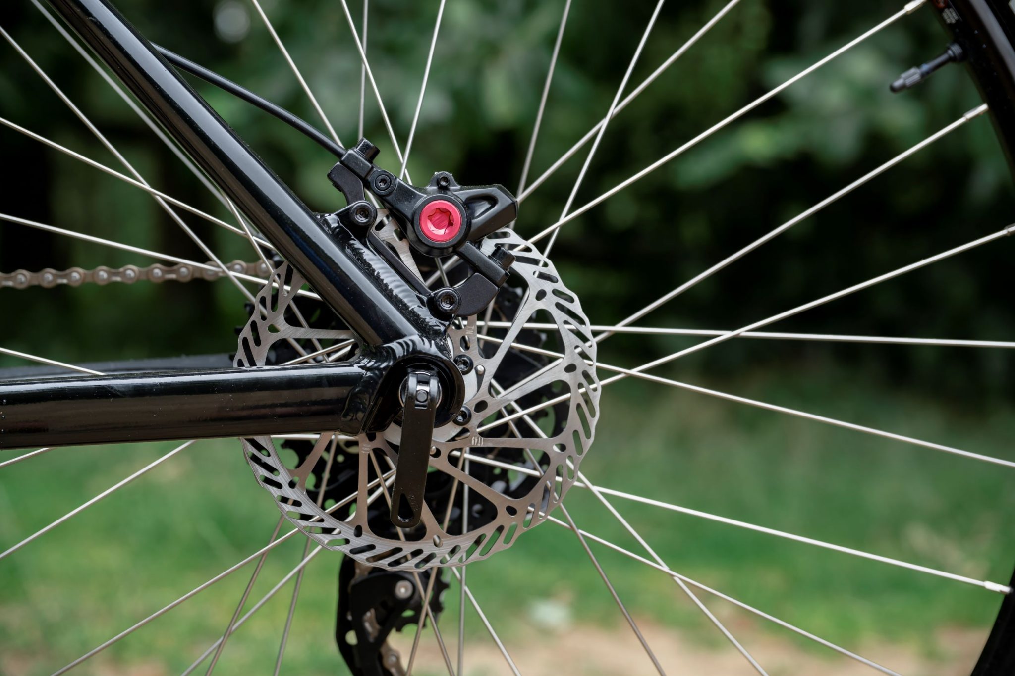 vitus nucleus 29 vr buy