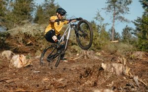 Specialized Stumpy Evo Alloy Elite