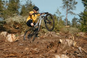 Specialized Stumpy Evo Alloy Elite