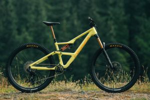 Orbea Occam LT 2024