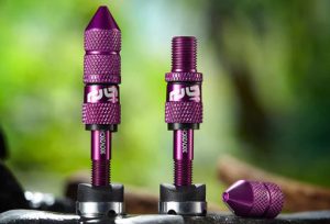 e*thirteen schrader/presta valves