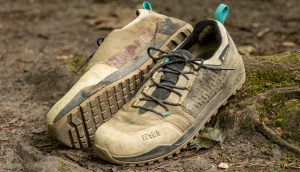 Fizik Terra GTX on a mossy stump