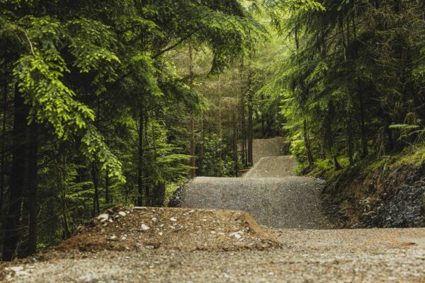 Dyfi Bike Park