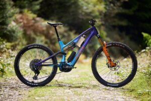 Whyte ELyte EVO Stag Works