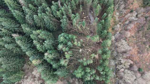 Damage to BPW