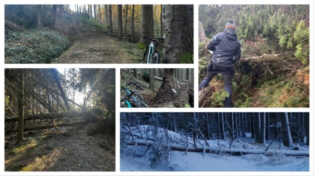 Storm Éowyn trail damage