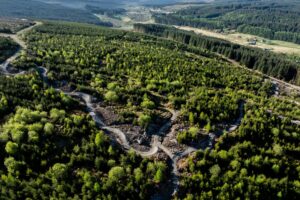 Kielder Forest Deadwater Fell red and black trails