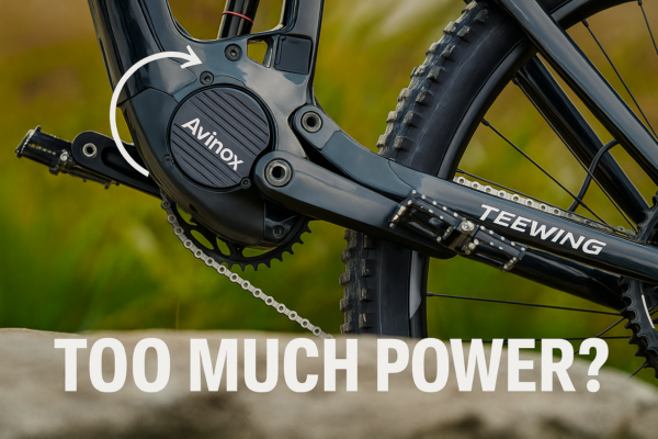 Do e bikes have too much power?