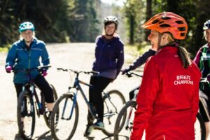 Breeze into the Forest