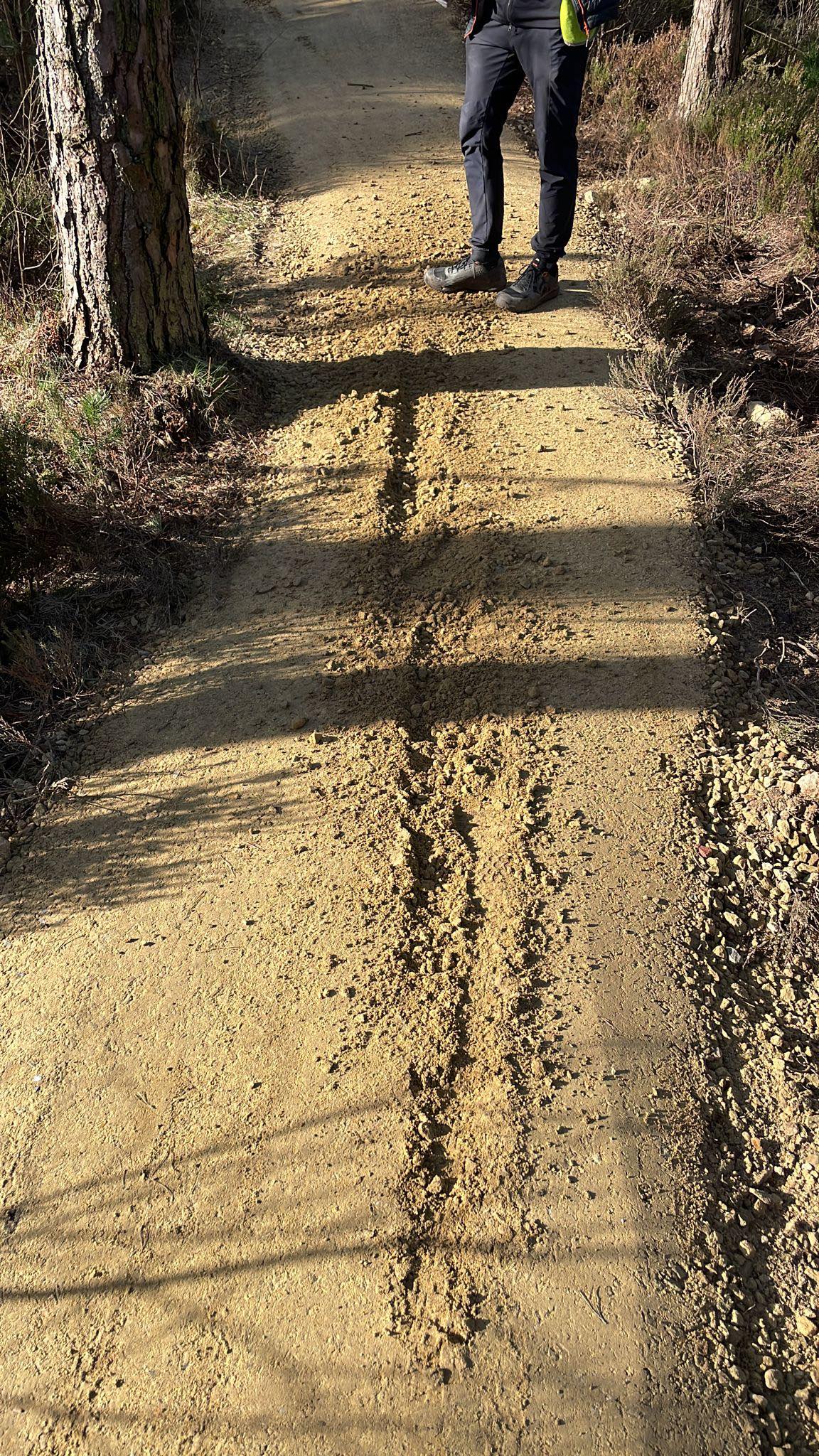 Ride Sheffield Sur-Ron damage