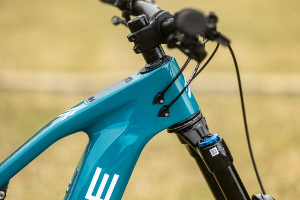 Carbon front triangle