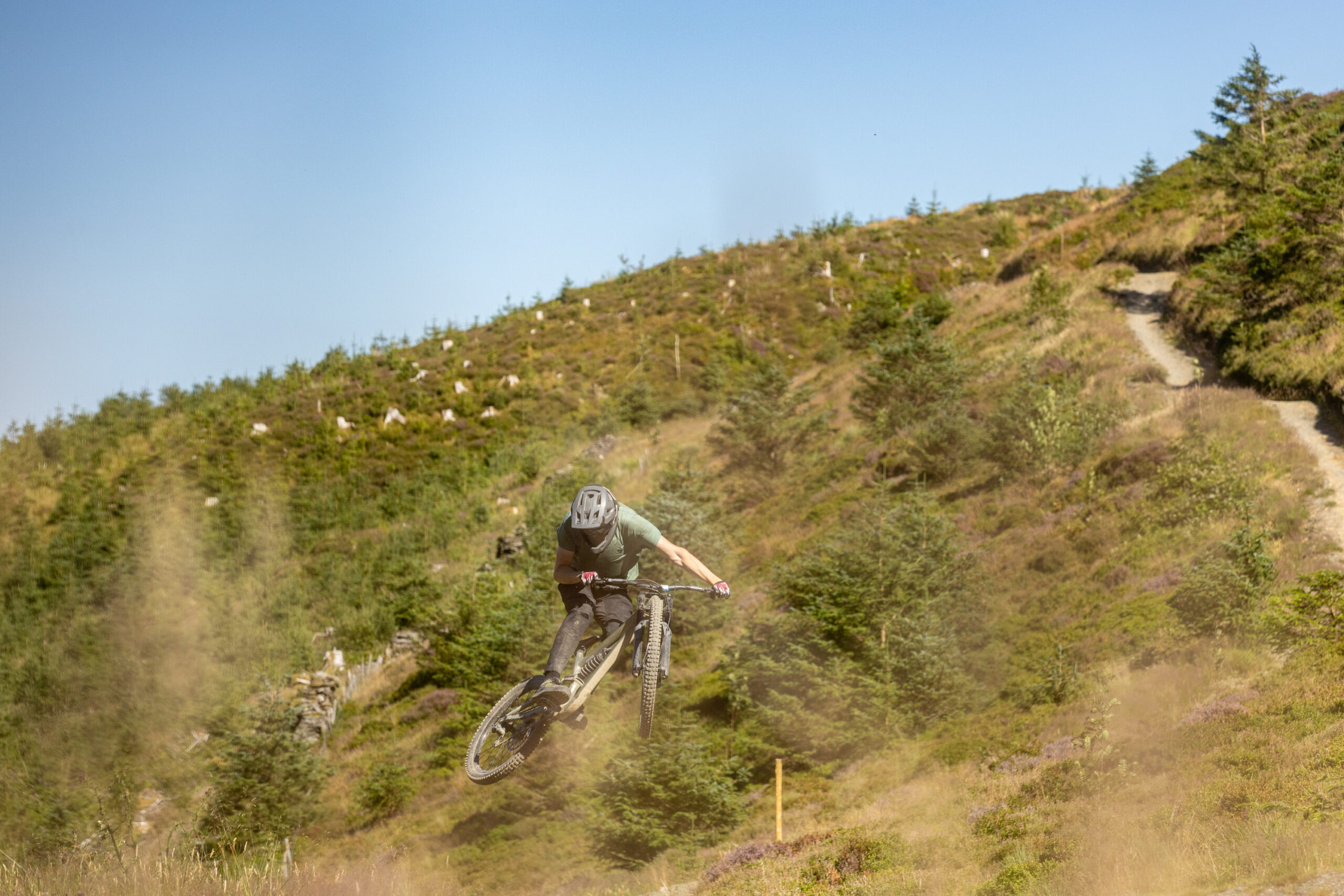 Specialized Status 2 170 DH