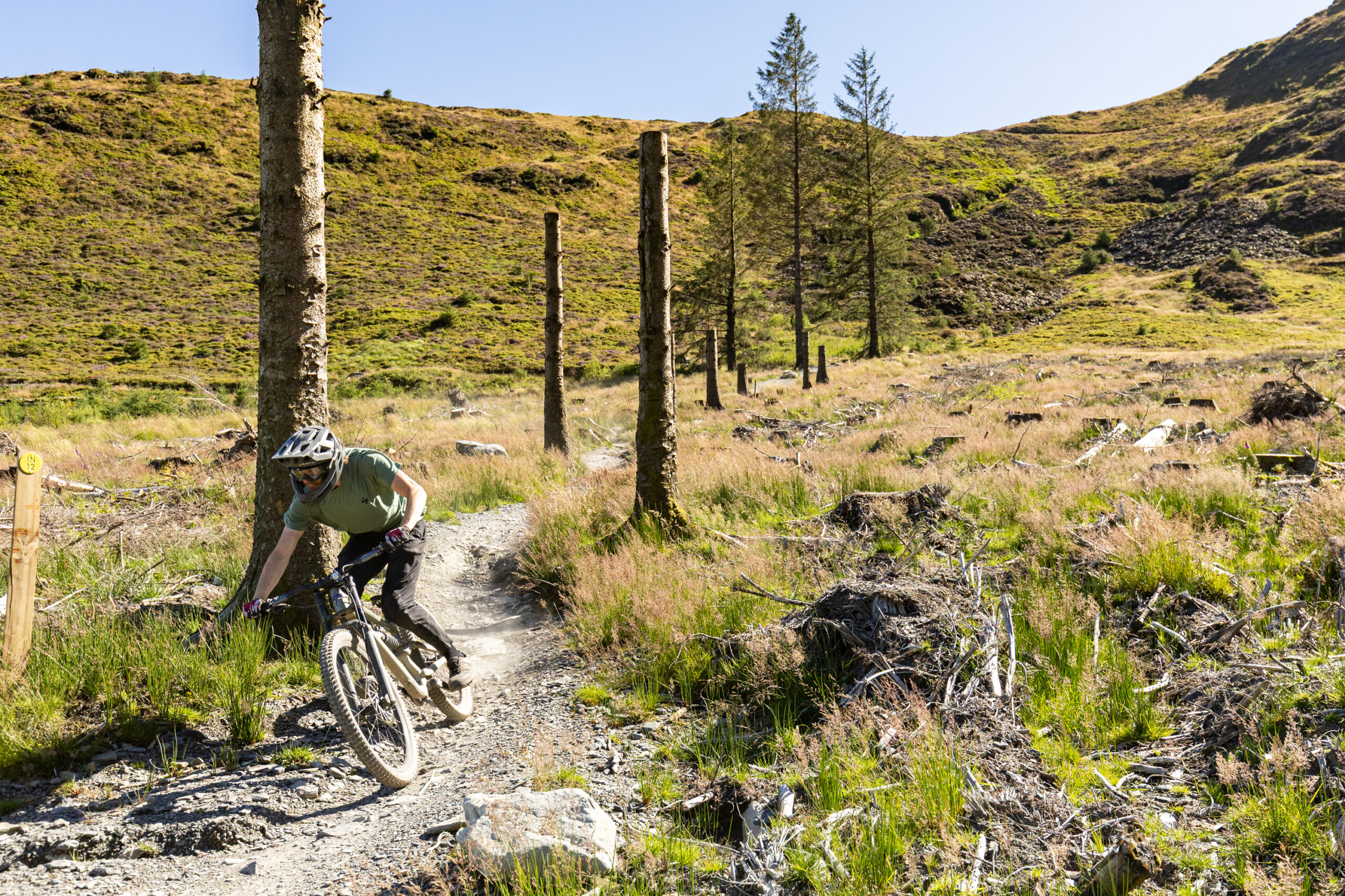 Specialized Status 2 170 DH