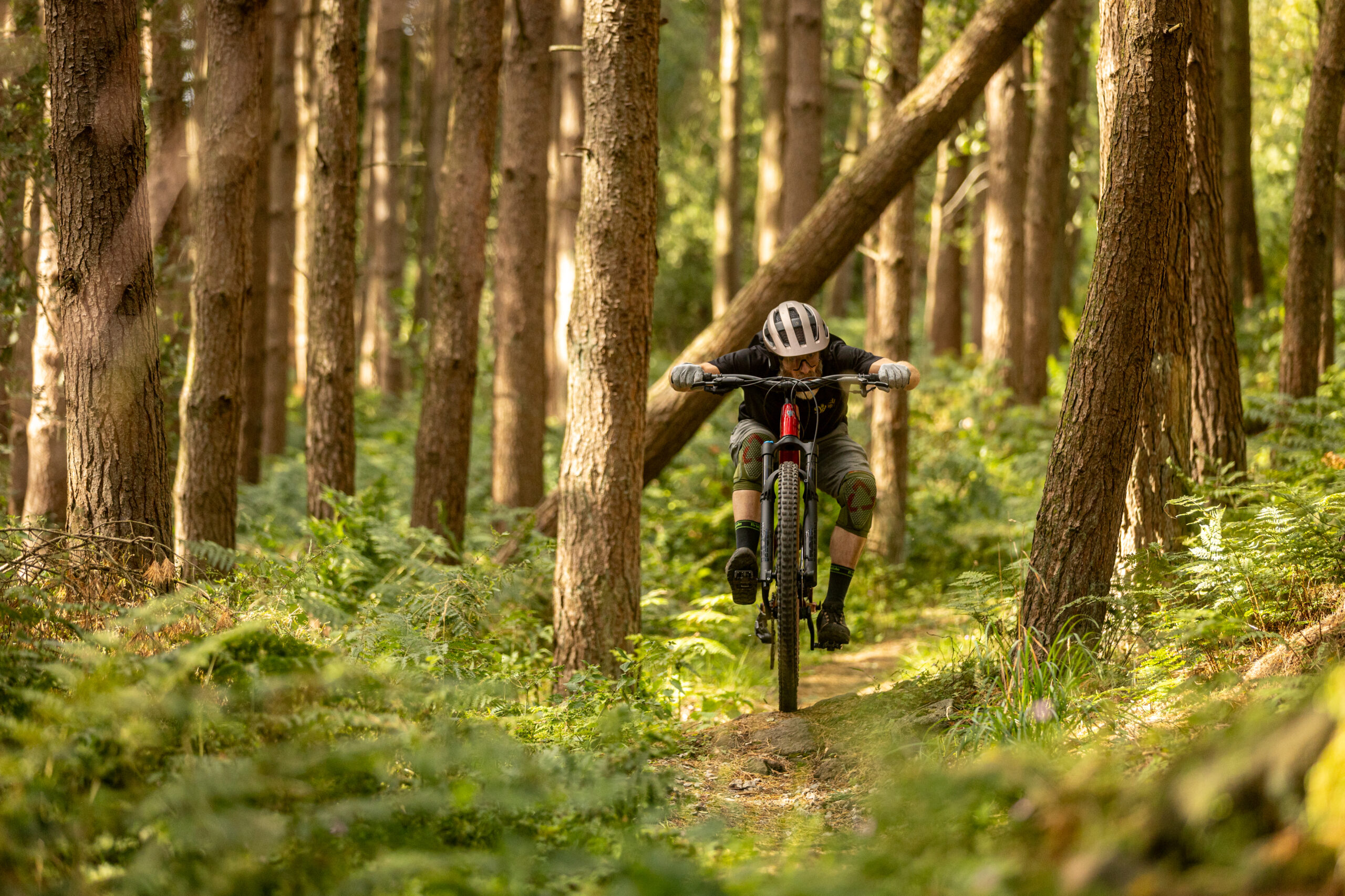 Trek Fuel EX 2026