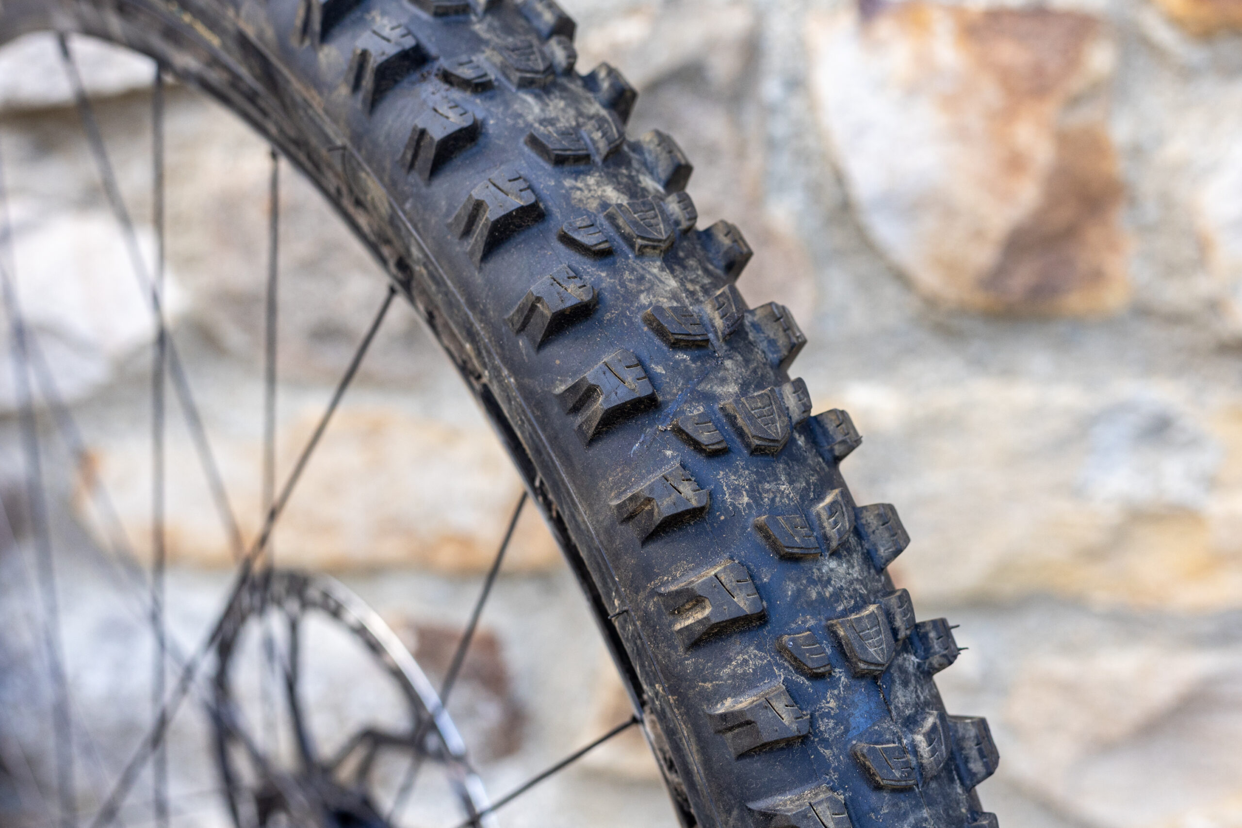 Vittoria Mostro tyre