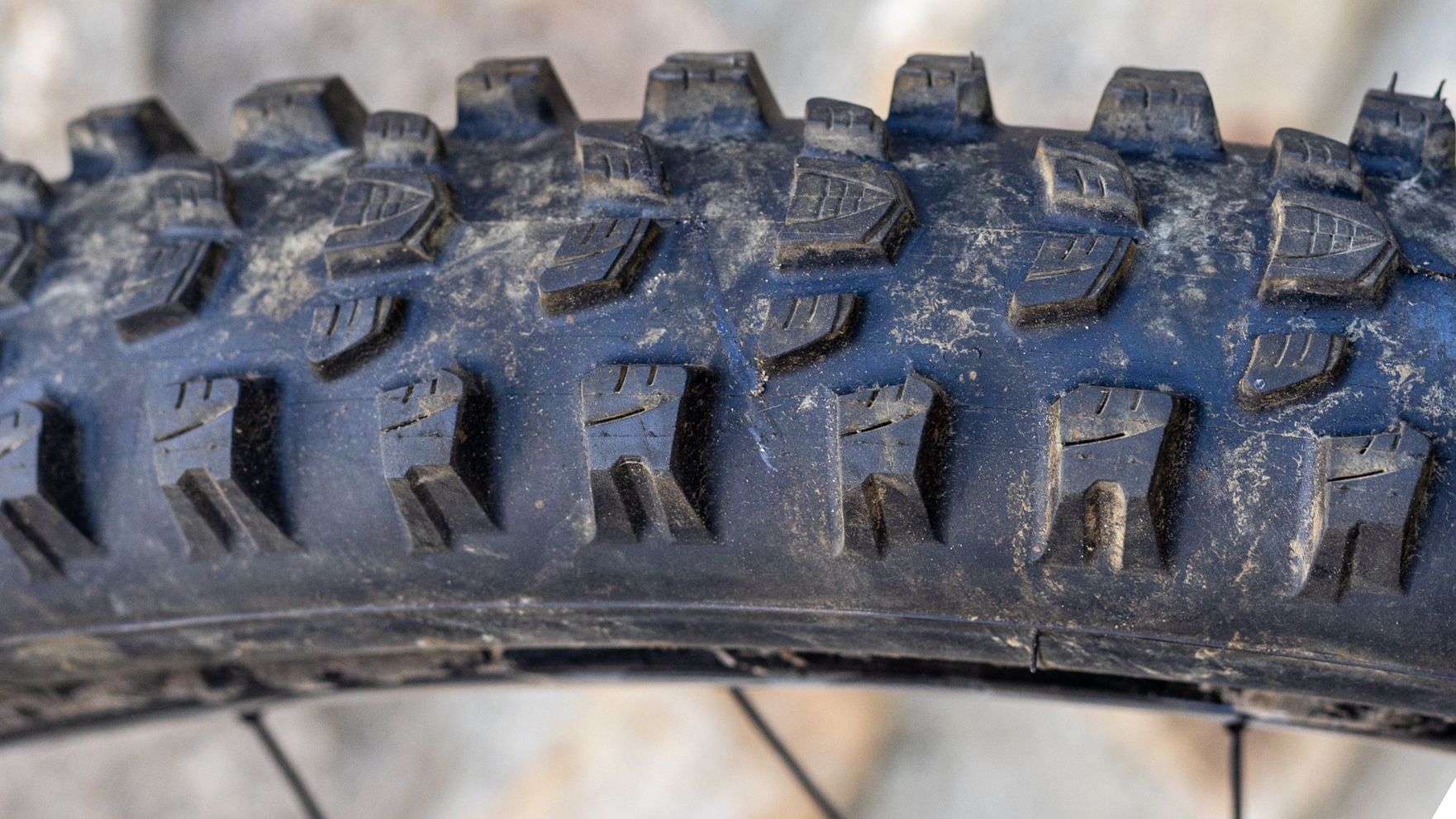 Vittoria Mostro tyre