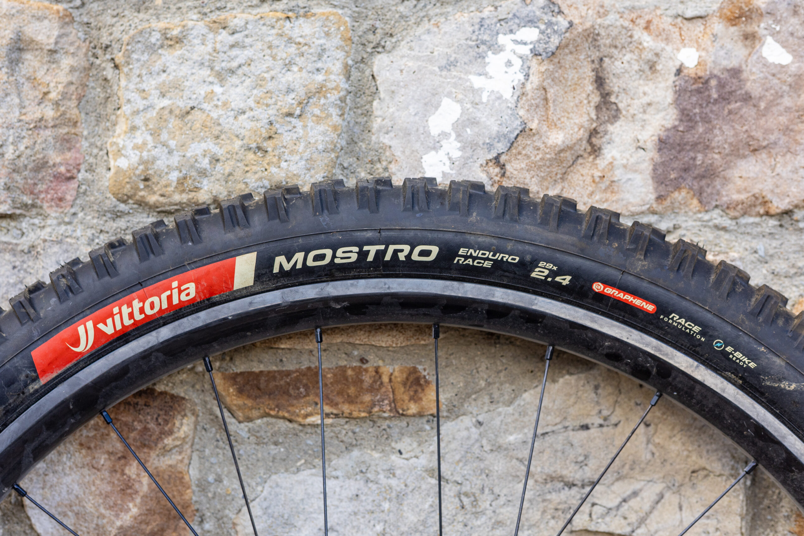 Vittoria Mostro tyre