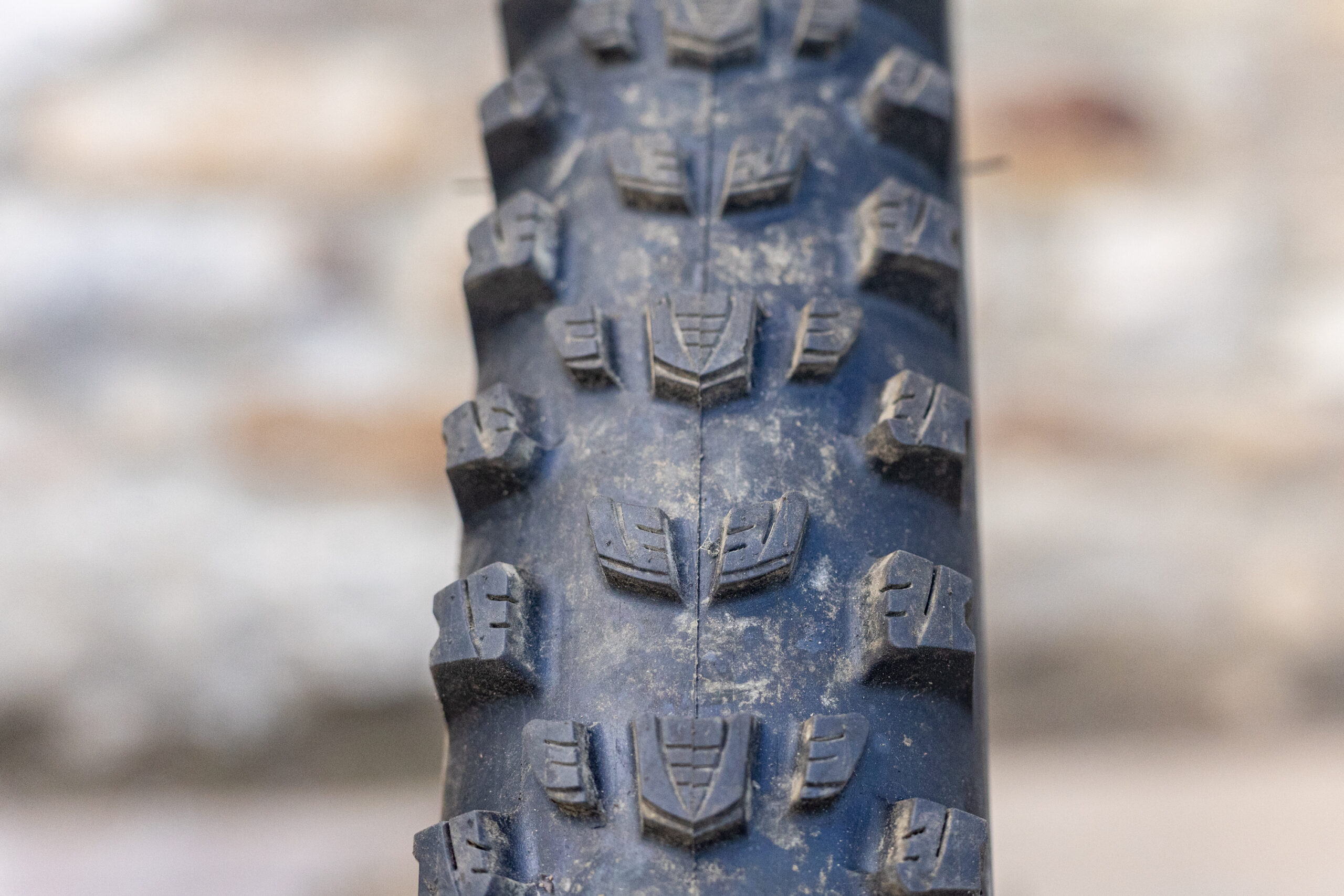 Vittoria Mostro tyre