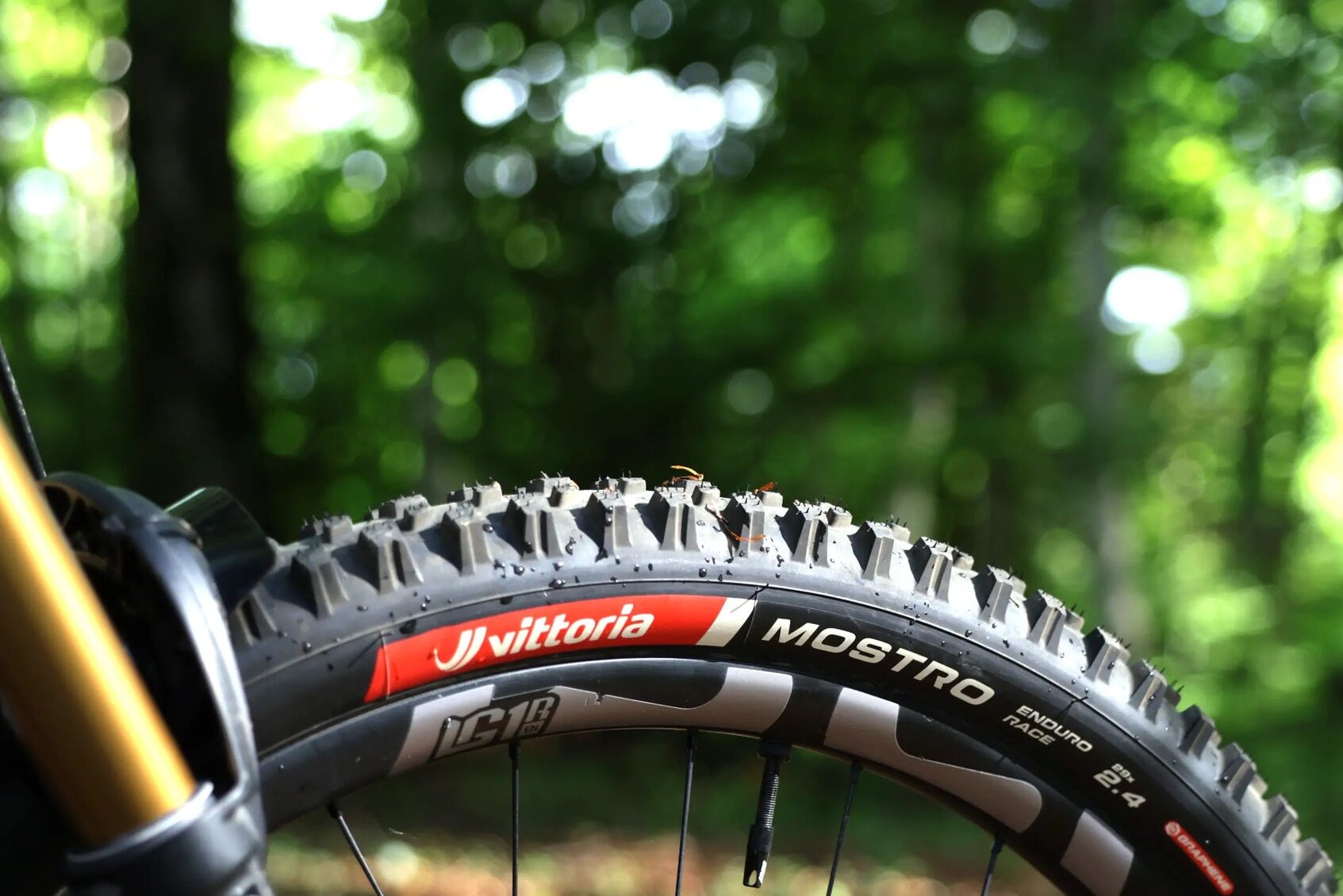 Vittoria Mostro tyre
