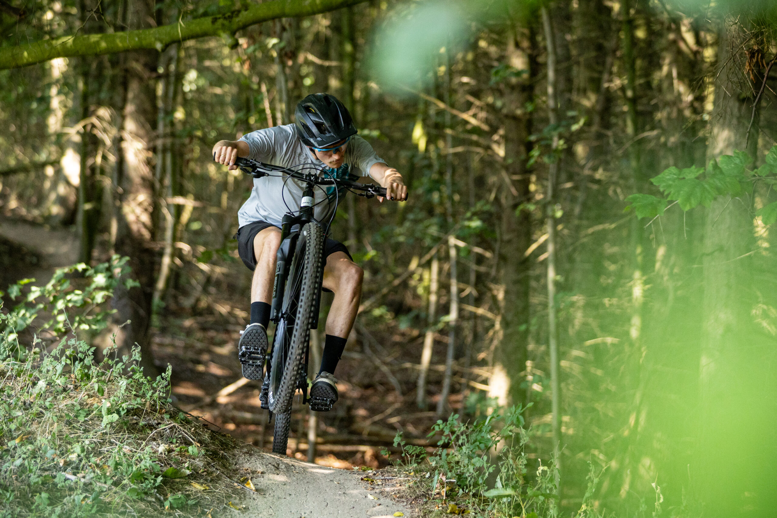 Whyte Secta RS