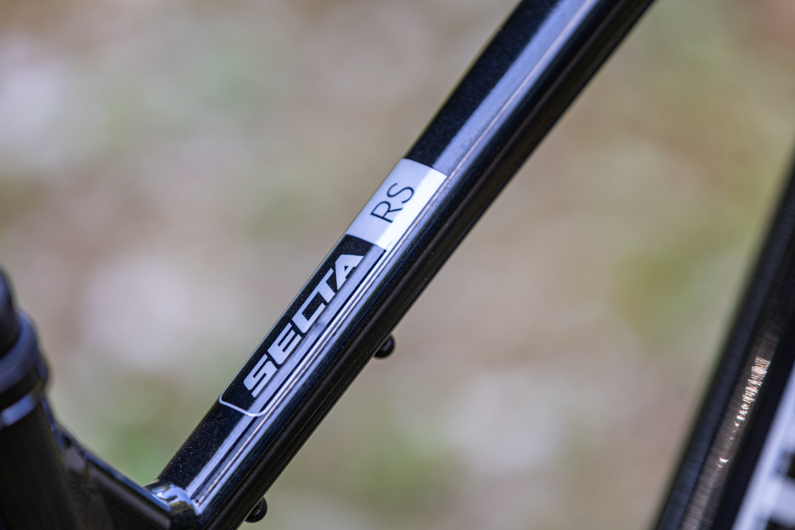 Whyte Secta RS